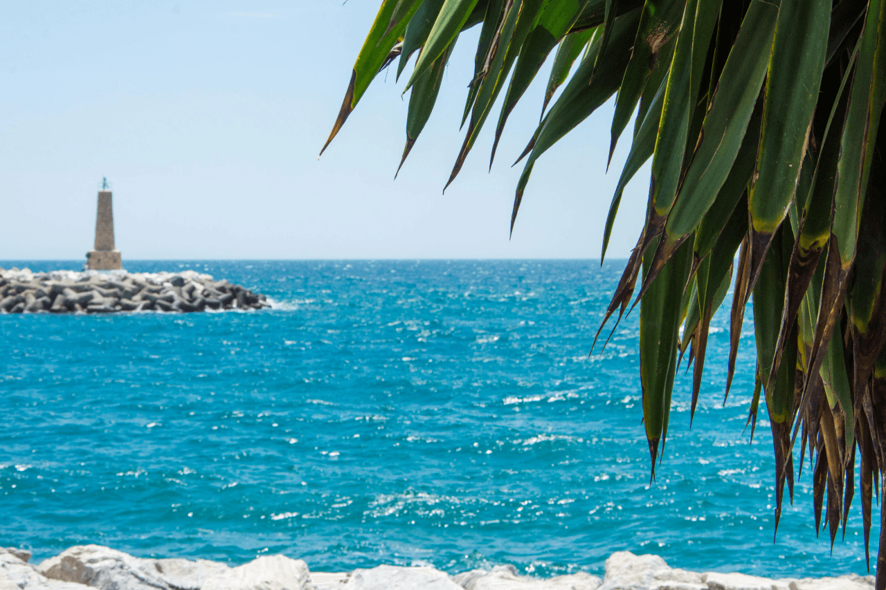 Marbella & Benahavis